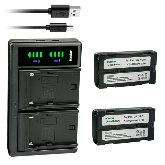 Kastar 2-Pack Battery and LTD2 USB Charger Replacement for PV-D700, PV-D710, PV-D710, PV-DBP5, PV-DBP5, PV-DV1000, PV-DV700, PV-DV710, PV-DV950 PV-SD4090, PV-SD5000, VM-VBD1, VW-VBD1, VW-VBD1E