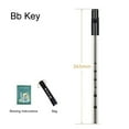thumbnail image 1 of Irish Whistle Flute C D Bb Key 6Hole Ireland Tin Penny Flute Woodwind Instrument, 1 of 7