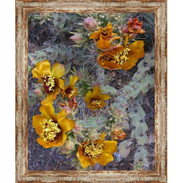 Somerset House Publishing 5843 Buckhorn Cholla, Framed Giclee Canvas Art