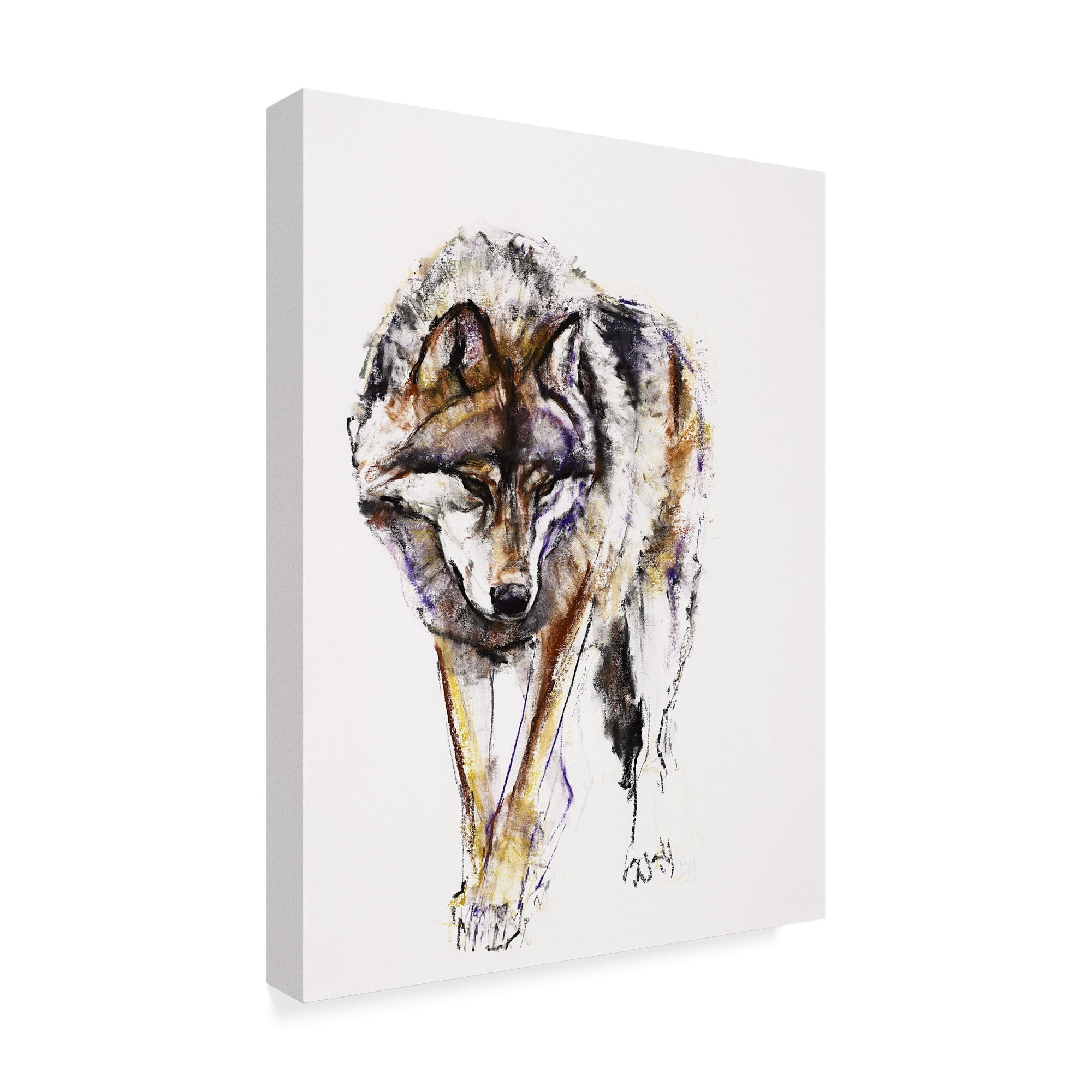 Trademark Fine Art 'European Wolf' Canvas Art by Mark Adlington