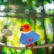 thumbnail image 3 of EeaseMX 2 PCS Pájaro Parrot Cuello Cuello Anti-Pecking Cuello Protector Loro Collar, 3 of 7