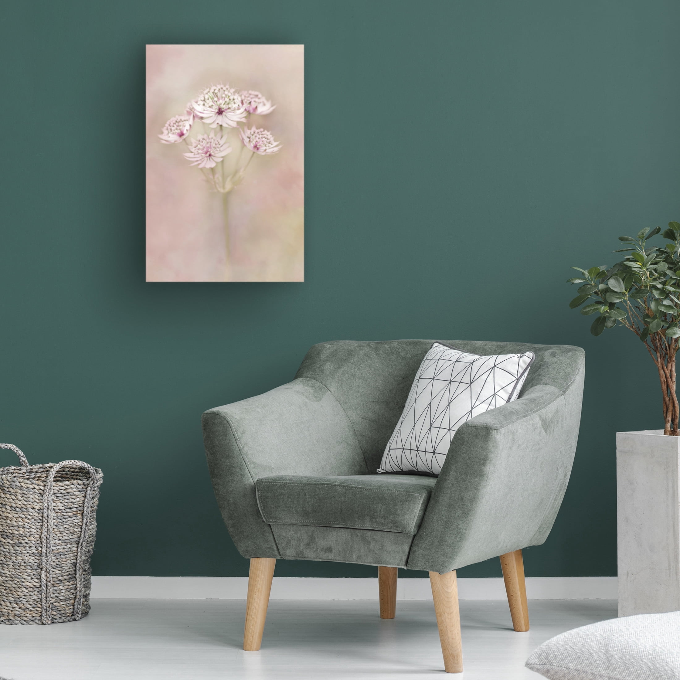 Canvas Wall Art - Alida van Zaane 'Astrantia' Wall Art for Living Room, Bedroom, or Office D?cor by Trademark Fine Art - 30 x 47 Inches