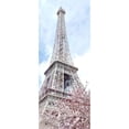 thumbnail image 3 of Kimberly, Allen 10x18 Black Modern Framed Museum Art Print Titled - Paris in Bloom 1, 3 of 5