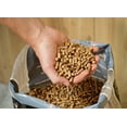 thumbnail image 4 of Camp Chef Premium Food Grade Hardwood Oak Pellets - 20lb Bag, PLOK, 4 of 10