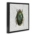 thumbnail image 3 of Stupell Industries Transitional Beetle with Botanical Pattern Black Floating Frame Canvas Art, 18 x 18, by Danhui Nai, 3 of 8