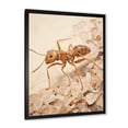 thumbnail image 3 of Designart "Beige Collage Of Minimalist Ant I" Animals Ant Picture Framed Canvas Prints, 3 of 5