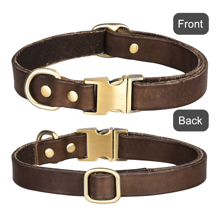 Top rated cheap training collars