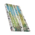 thumbnail image 3 of SUNENAT Birch Trees Forest Canvas Prints Wall Art Wood Framed Abstract Canvas Paintings for Wall and Home Decor, 20" x 24", 3 of 4