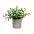 BnGAJN Flower Pots,Home Desktop Potted Plants, Potted Plants, Potted