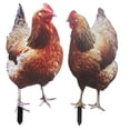 thumbnail image 1 of MasteelfCA 2Pcs Acrylic Chicken Yard Arts Decorative Hen Yard Stake Lawn Floor Stake, 1 of 8