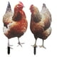 thumbnail image 1 of 2 estacas decorativas acrílicas para gallinas de jardín, césped o suelo., 1 of 8