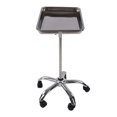 thumbnail image 1 of Plateau d'Instruments de Salon Médical, Cadre Texturé Réglable Stable Plateau de Salon Polyvalent avec Roues pour Studios, 1 of 7