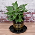 thumbnail image 5 of Unique Bargains 12' Plastic Wave Round Plant Pot Saucer Flower Drip Tray, Black 4 Pack, 5 of 5