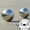 Silver, variant on LMTODLFG 5Pcs Stainless Steel Gazing Ball,Polished Sphere Floating Pond Balls Hollow Gazing Globe for Home and Garden Decoration (1inch)