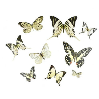 Die Cuts for Card Making, Ouginx Animal Butterfly Flower Metal
