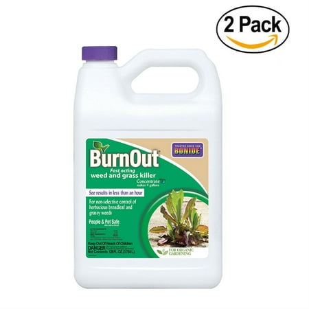 Bonide (7465) Burn Out Weed and Grass Concentrate Killer, 1 gallon - Pack Of (Best Grade Of Weed)