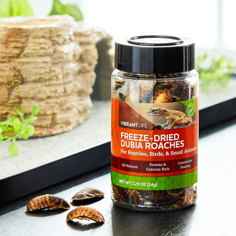 2 pack) Vibrant Life Freeze-Dried Dubia Roaches for Reptiles