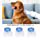 thumbnail image 2 of Peine eléctrico para piojos TUNC Sencillez para perros y gatos, 2 of 5