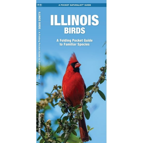 Pocket Naturalist Guides: Illinois Birds: An Introduction to Familiar Species (Paperback)