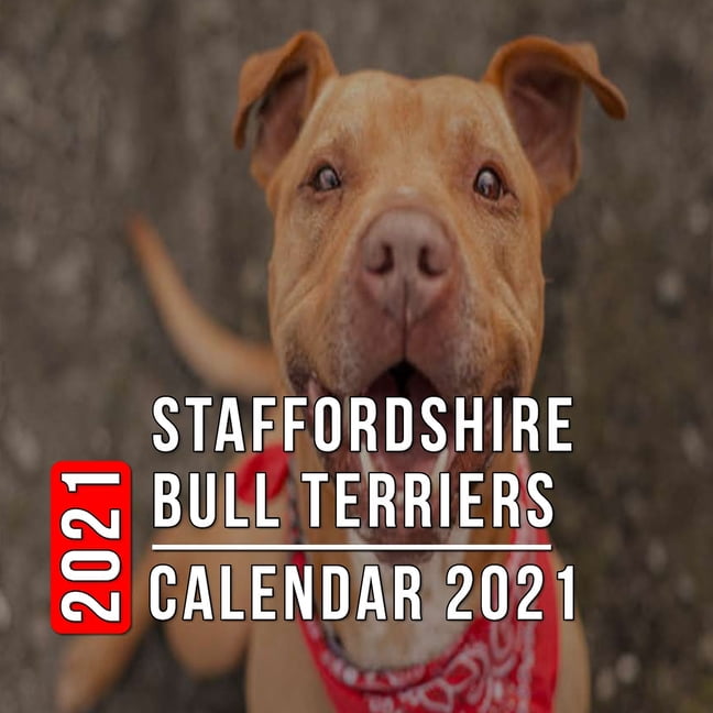 Staffordshire Bull Terriers Calendar 2021: 12-month mini Calendar from