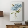 thumbnail image 5 of Petite Blue Hydrangea I Premium Gallery Wrapped Canvas - Ready to Hang, 5 of 9