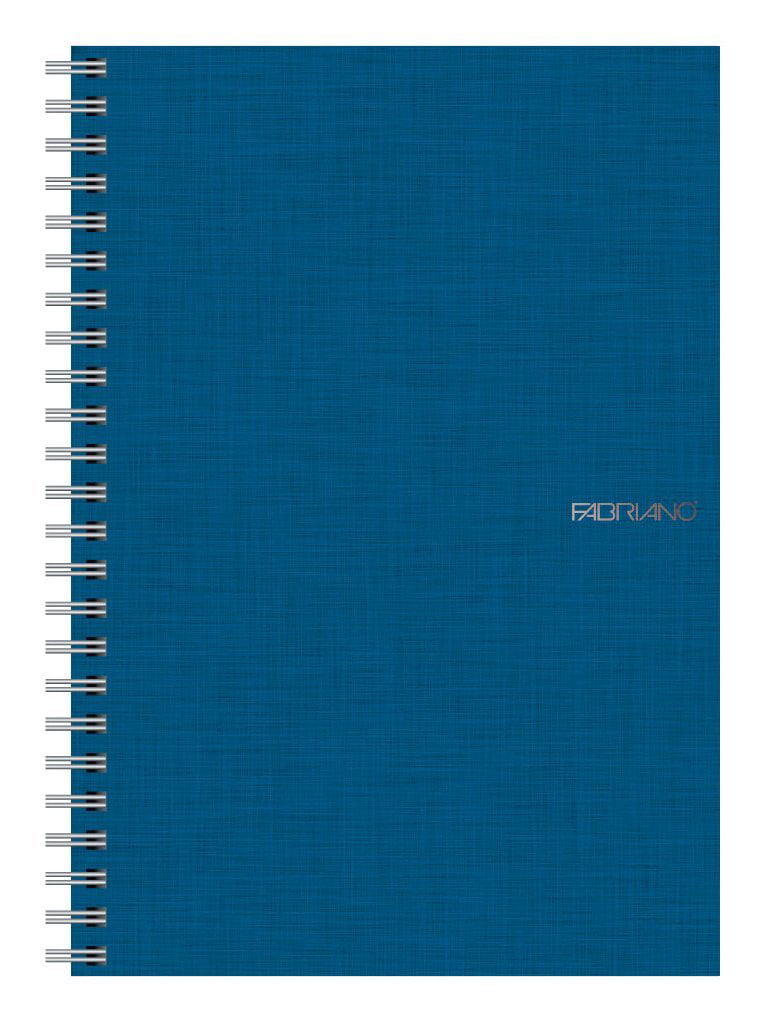 B5-Lizard 1-Pack 81 College Ruled Sheet Lizard Hardcover Journal Kairui Spiral Notebooks 7.0X9.8