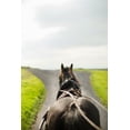 thumbnail image 2 of Millet, Karyn 11x14 White Modern Wood Framed Museum Art Print Titled - Horse Drawn, 2 of 4