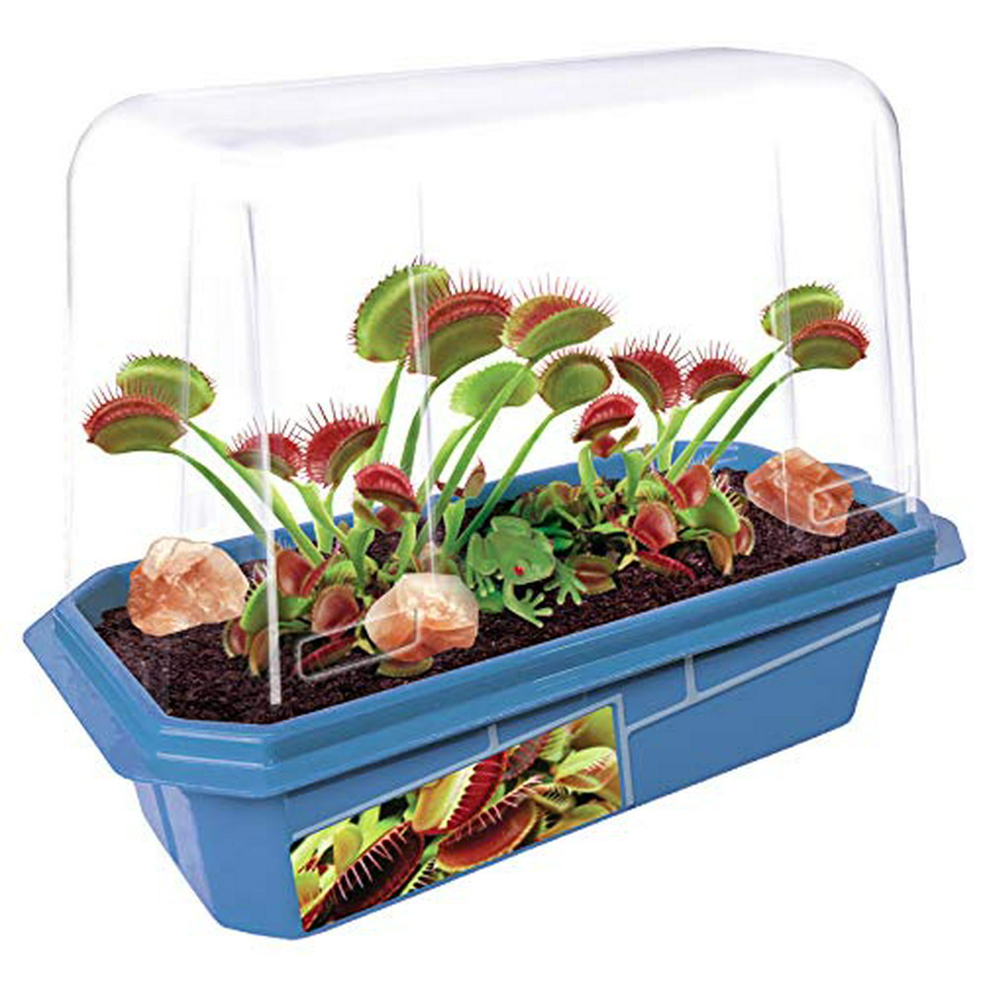 Grow Your Own Frightening Venus Flytraps - Kids Terrarium Kit to