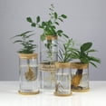 thumbnail image 3 of Jarrón de vidrio hidropónico creativo, micropaisaje transparente, decoración ecológica para pecera, arreglo floral con plantas hidropónicas de rábano verde, manualidades, 3 of 6