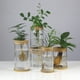 thumbnail image 4 of Jarrón de vidrio hidropónico creativo, micropaisaje transparente, decoración ecológica para pecera, arreglo floral con plantas hidropónicas de rábano verde, manualidades, 4 of 6