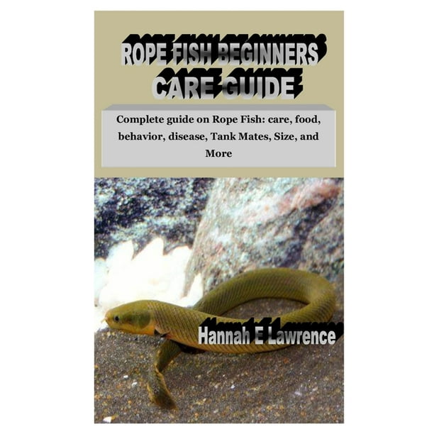 Rope Fish Beginners Care Guide Complete guide on Rope Fish care, food