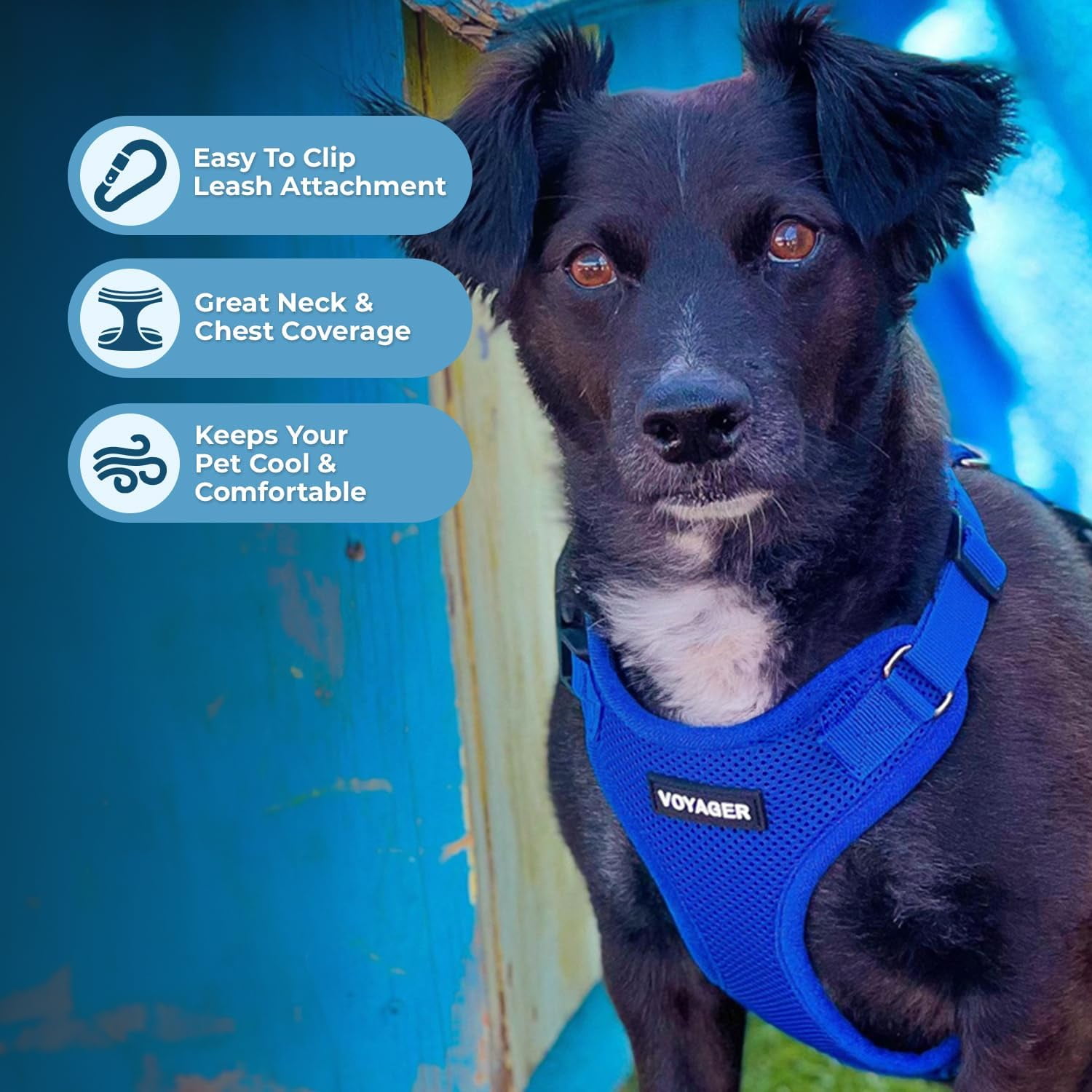 Voyager Step-in Lock Dog Harness w\ Reflective Dog Leash Combo Set with Neoprene Handle 5ft - Supports Small, Medium and Large Breed Puppies/Cats by Best Pet Supplies - Royal Blue, XXXS