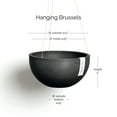 thumbnail image 2 of Ecopots Hanging Brussels Durable Modern Round Indoor/Outdoor Recycled Based Composite Flower Pot Planter, Dark Grey, 10.5", 2 of 4