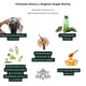 thumbnail image 5 of Shampoo Apigreen para Crecimiento Acelerado de Cabello - F&oacute;rmula con Boost Capilar para Fortalecer y Nutrir el Cuero Cabelludo - Con Ingredientes Naturales, 5 of 6