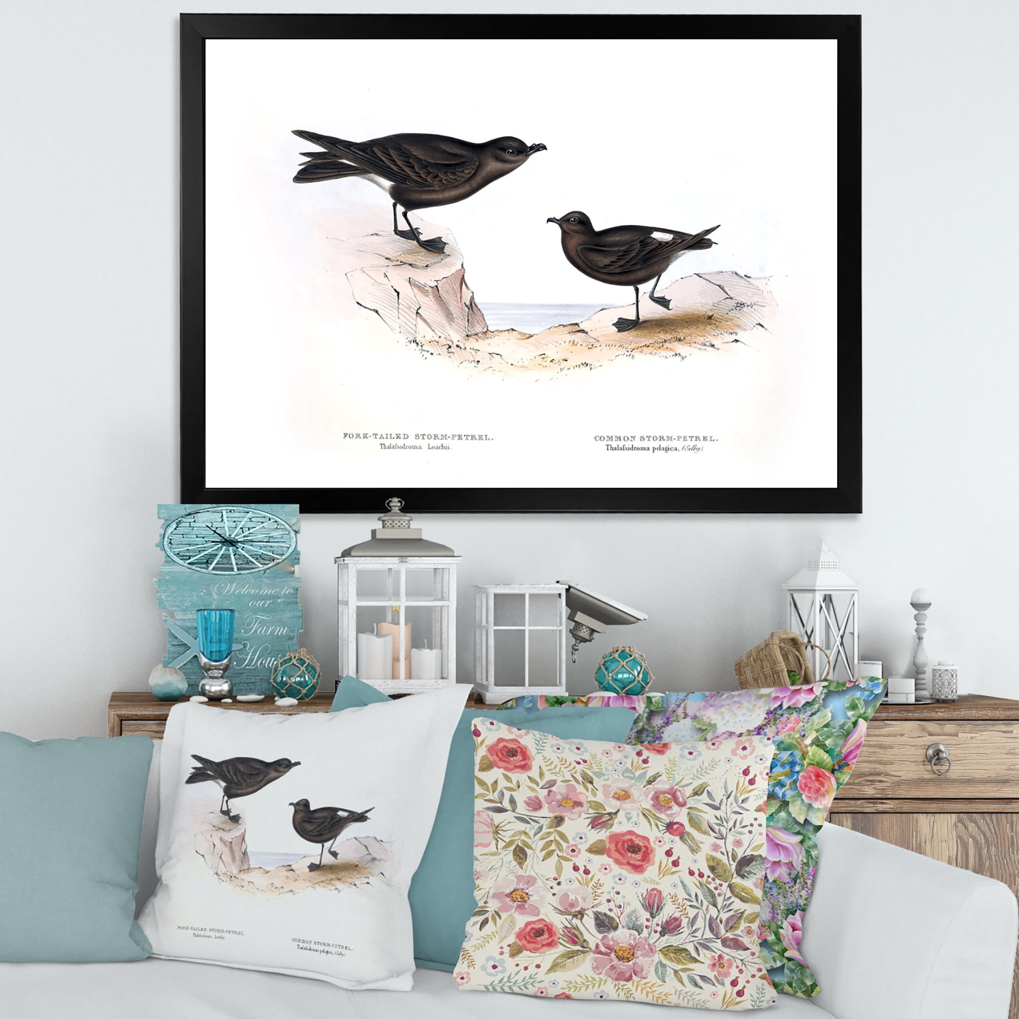 Designart 'Ancient Bird Of Europe III' Traditional Framed Art Print