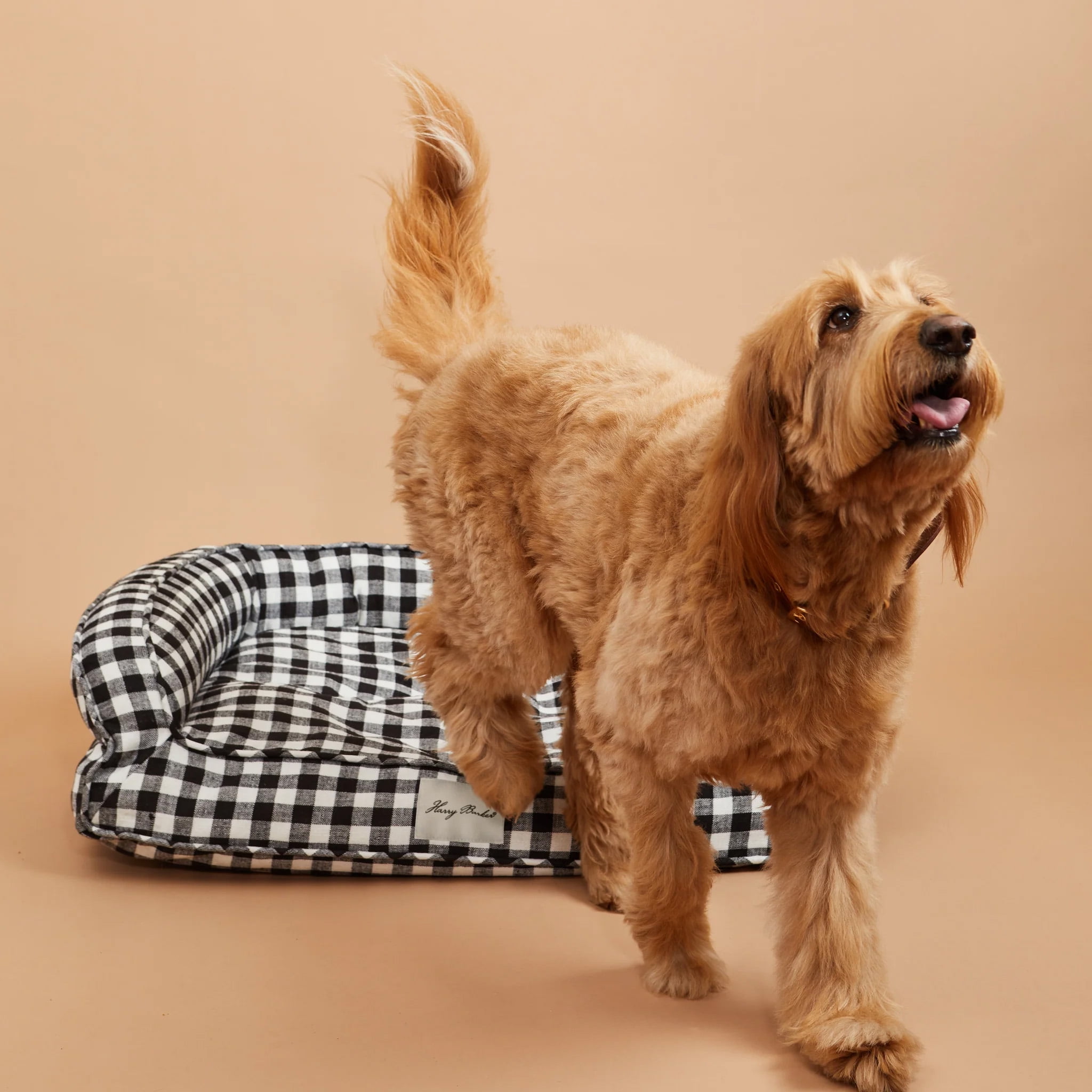 Harry Barker Black Buffalo Check Lounger Bed, Medium