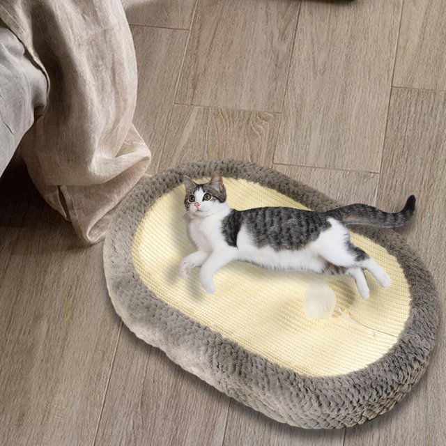 Rascador para gatos Salvador cama nido portátil 24 pulgadas x 16 pulgadas gris