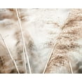 thumbnail image 2 of Weisz, Irene 24x20 Gold Ornate Wood Framed with Double Matting Museum Art Print Titled - Soft Pampas Breeze, 2 of 4