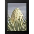 thumbnail image 2 of Majchrowicz, Alan 17x24 Black Modern Framed Museum Art Print Titled - Joshua Tree, 2 of 5