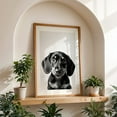 thumbnail image 5 of baby dog - Photography Dog Black and White Animal Portrait Minimalist Unframed Wall Art Print 5 x 7 inches, 5 of 60