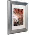 thumbnail image 2 of Trademark Fine Art "Unsteady" Canvas Art by Philippe Sainte-Laudy White Matte, Silver Frame, 2 of 4