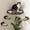 Black, variant on Cat Perch Natural Wood 3 Step Wall Mounted Climbing Furniture for Cats up to 15lbs