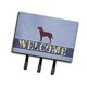 thumbnail image 1 of "Treasures American Water Spaniel Welcome Wall Hook, triple, multicolor" Caroline's Treasures BB5505TH68, 1 of 1