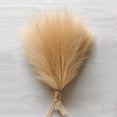 thumbnail image 4 of Ramo de hierba de pampa artificial, 10/15/30 piezas, flores falsas de pampas, decoración de juncos para habitación, hogar, boda, decoración navideña 2024, 4 of 4