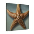 thumbnail image 2 of Starfish in Hyperrealism - Canvas, 2 of 10