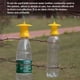thumbnail image 5 of Kearding Verduras Trampas para moscas de frutas Dispositivo de control antimosquitos Drosophila Sturdy Catcher Reutilizable Bug Catchers Jardín y Patio, 5 of 6