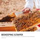 thumbnail image 3 of 1 raspador de colmena de abejas de acero inoxidable, herramienta de apicultura, herramienta de raspado elevadora, 3 of 6