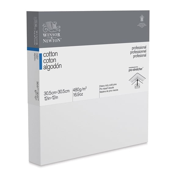Winsor & Newton Professional Cotton Canvas - 12" x 12", Deep Edge