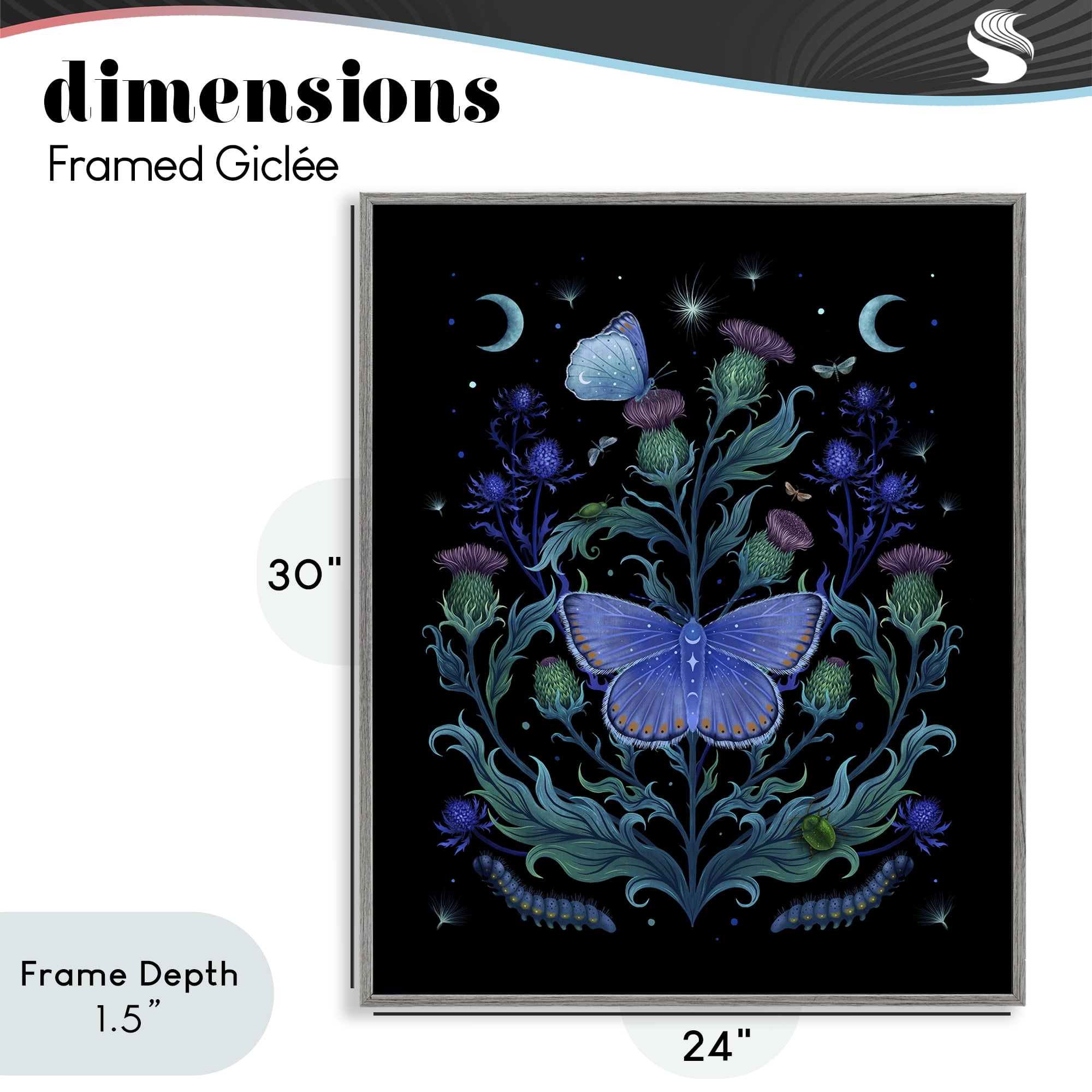 Stupell Industries Thistles & Insects at Night Gray Framed Giclee Art, design by Episodic Drawings