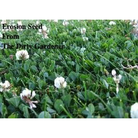 The Dirty Gardener Erosion Control Grass Seed - 25 (Best Grass For Erosion Control)